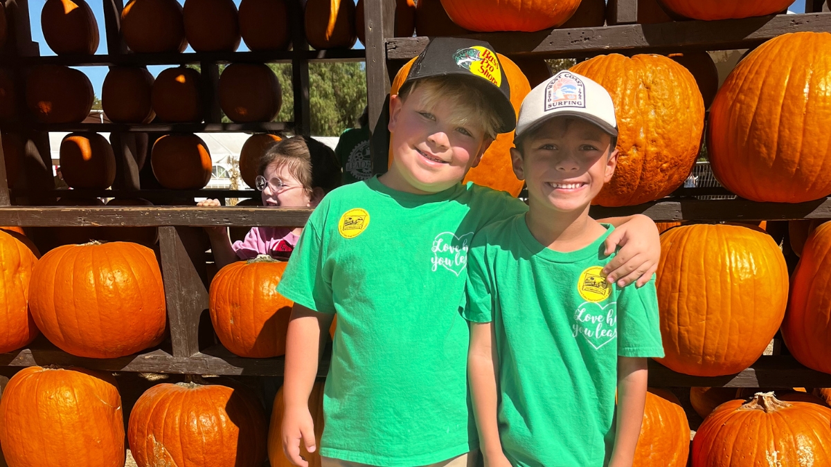 Pumpkin Patch iLEAD Hybrid Acton Studio