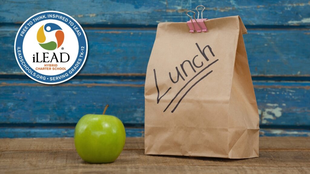 Lunch bag apple iLEAD Hybrid logo